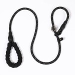 Dog Training Leash Manufacturer - Adjustable Nylon Slip Lead Dog Training Leash Solid P Chain Control Rope
