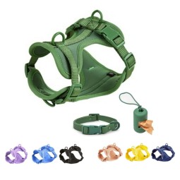Dog Collar Manufacturer - Custom Logo Luxury Dog Collar Pet Walk Kit Leashes Adjustable Waterproof