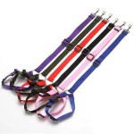 Dog Seat Belt Supplier - Best Quality 2 in 1 Reflective Nylon Dog Car Seat Belt Durable Upgrade Metal Buckle