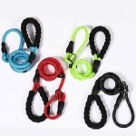 Dog Training Leash Manufacturer - Adjustable Nylon Slip Lead Dog Training Leash Solid P Chain Control Rope