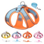 Dog Harness Set Manufacturer - Factory Wholesale Dog Leash and Harness Pet Harness Set