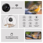 Bird Feeder Manufacturer - 2022 New Automatic Humming Bird Feeder Camera Smart Wifi Feeder Real-Time