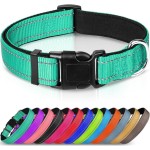 Dog Collar Manufacturer - Customized Label Adjustable Soft Nylon Pet Dog Martingale Collar Safety Buckle
