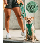 Dog Collar Manufacturer - Custom Logo Luxury Dog Collar Pet Walk Kit Leashes Adjustable Waterproof