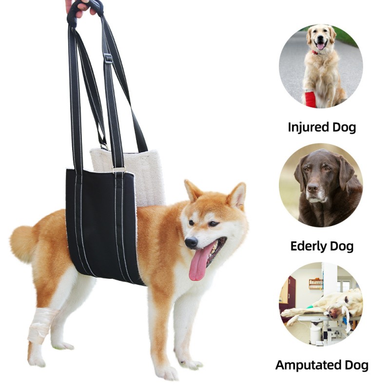 Dog Support Harness Manufacturer - Pet Dog Hind Leg Support Harness Full Body Support Recovery Sling Portable