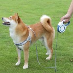Dog Leash Factory - Custom Logo Dog Automatic Extending Nylon Pet Lead Extendable Traction Training