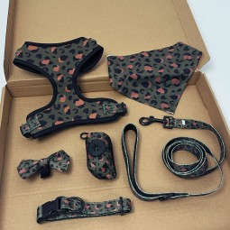 Dog Harness Factory - Custom Personalized Logo Luxury Neoprene Nylon Harness Leash Set Adjustable