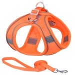 Dog Harness Set Manufacturer - Factory Wholesale Dog Leash and Harness Pet Harness Set
