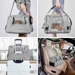Pet Carriers & Travel Products