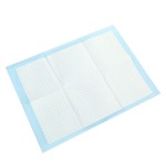 Dog Training Pad Factory - Hot Sale Dog Puppy Training Toilet Disposable Dog Puppy Pads Leak-proof