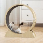 Cat Treadmill Supplier - Dog Cat Treadmill Pet Fitness Roller Silent Exercise Running Wheel Furniture
