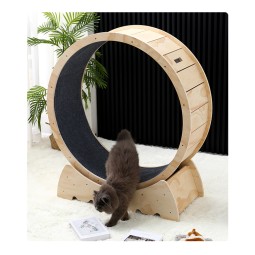 猫玩具轮生产厂家-宠物玩具工厂批发纤维板宠物猫玩具轮跑步机趣味猫跑步机