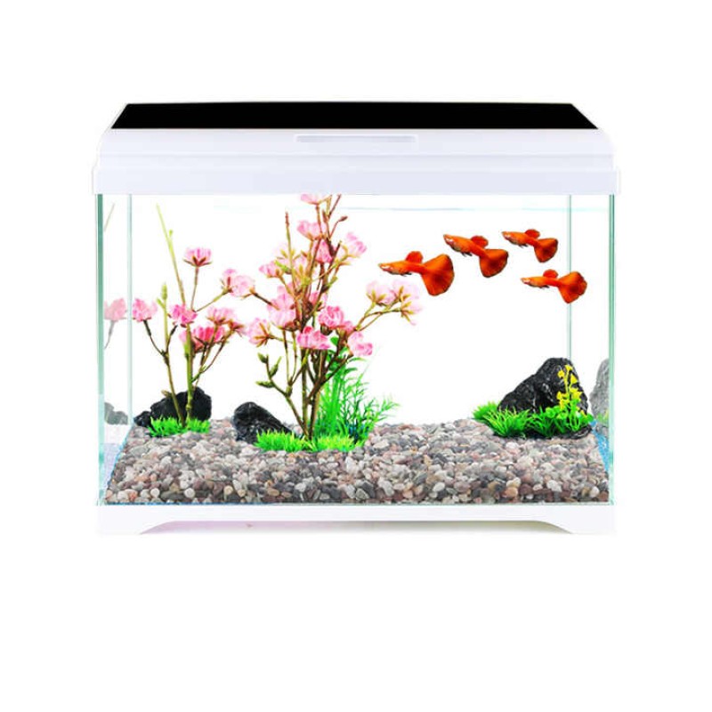 Fish Tank Factory - Custom Sunsun Ultra White Glass Tank