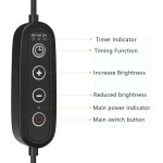 Turtle Basking Light Factory - Custom Automation Timing Holder