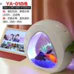 Mini Desktop Tank Factory - Creative Sunsun Nano Tank LED