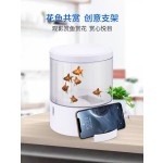 Mini Acrylic Tank Manufacturer - OEM Sobo Desktop Filter Light Tank