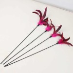 Pet Toys Manufacturer - OEM Eco Friendly Feather Cat Toy