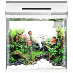 Acrylic Fish Tank Manufacturer - OEM Sunsun Desktop Multi-shape Tank