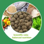 Fish Food Pellets Supplier - OEM Export Quality Betta Food