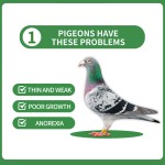 Bird Vitamin Factory - Free Samples Vitamin for Birds Booster Intestinal Health Digestion Energy