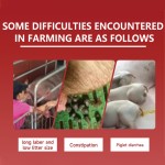 Poultry Additive Supplier - Made China Enzyme Chicken Feed Additives Grower Layers Egg Booster