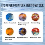 Water Treatment Supplier - 2024 Best Selling Yushukang for Water Treatment Clean Pond Maintenance