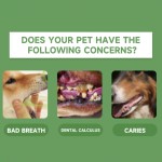 Dog Dental Powder Factory - Pet Dental Cleaning Powder Oral Health Care Clean Plaque Freshens Breath