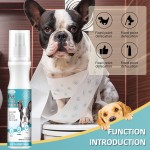 Pigeon Medicine Manufacturer - Pigeon Medicine Feather Health Care Vitamins Immunity Recovery Wormout