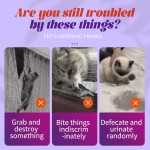 Pet Training Supplier - Orange Flavored Restricted Area Spray for Dog Scratch Prevention Training