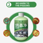 Bird Vitamin Factory - Free Samples Vitamin for Birds Booster Intestinal Health Digestion Energy