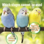 Bird Supplement Manufacturer - Free Sample Bird Nutrition Supplement High Vitamin Intestinal Booster