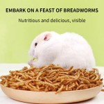 Pet Food Supplier - High Quality High-Protein Insect Dry Products Bird Hamster Feed OEM