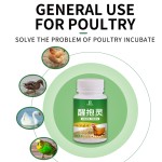 Layer Booster Factory - Egg Booster Fertility Powder Poultry Vitamins Layer Booster Feed Additives