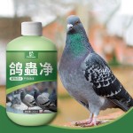 Bird Vitamin Factory - Free Samples Vitamin for Birds Booster Intestinal Health Digestion Energy