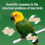 Bird Probiotic Manufacturer - Probiotics for Birds Pet Health Care Supplements Avian Nutrition