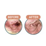 Pet Training Spray Factory - Fixed-Point Defecation Aid Sprayer for Young Dogs Effective Training