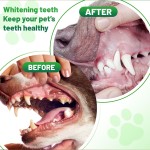 Pet Dental Powder Supplier - Wholesale 100g Natural Dog Tartar Remover Oral Care Cleaning Powder