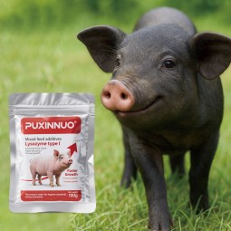 Poultry Additive Supplier - Made China Enzyme Chicken Feed Additives Grower Layers Egg Booster