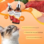 Pet Vitamin Supplier - Nutritious Complex Vitamin B Supplements for Dogs Cats Premium Care