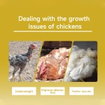 Pet Dental Powder Supplier - Oral Health Care Dental Cleaning Powder Freshens Breath Removes Plaque