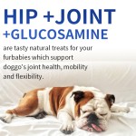 Dog Supplement Supplier - OEM ODM Glucosamine Supplements Hip Joint Pain Relief Skin Allergy