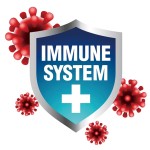 Poultry Additive Supplier - Made China Enzyme Chicken Feed Additives Grower Layers Egg Booster