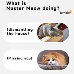 Cat Toy Manufacturer - Intelligent Cat Teasing Ball Pet Toys Interactive Plaything for Cats