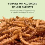 Pet Food Supplier - High Quality High-Protein Insect Dry Products Bird Hamster Feed OEM