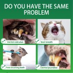 Pet Dental Powder Factory - Wholesale 100g Natural Tartar Remover Cleaning Powder Oral Care Cats Dogs