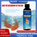 Water Treatment Supplier - 2024 Best Selling Yushukang for Water Treatment Clean Pond Maintenance