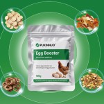 Pet Supplement Factory - Pet Joint Health Care Skin Care Anti Hair Removal Improve Immunity Omega-3