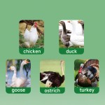 Pet Ear Cleaner Supplier - 120ml Soft Formula Ear Cleaning Solution Freshens Cleans Dogs Cats Ears