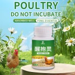 Layer Booster Factory - Egg Booster Fertility Powder Poultry Vitamins Layer Booster Feed Additives