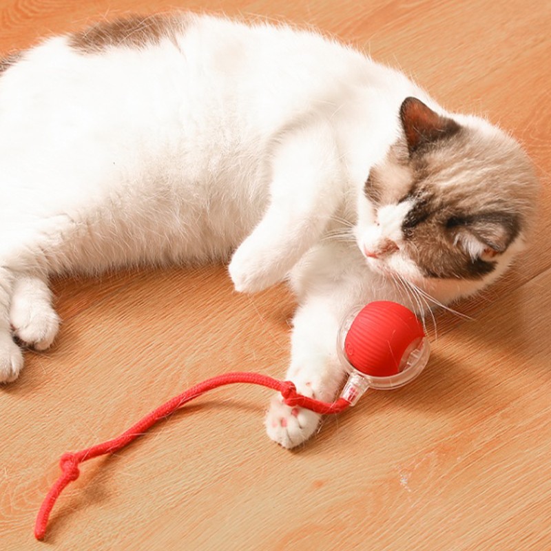 Cat Toy Manufacturer - Intelligent Cat Teasing Ball Pet Toys Interactive Plaything for Cats